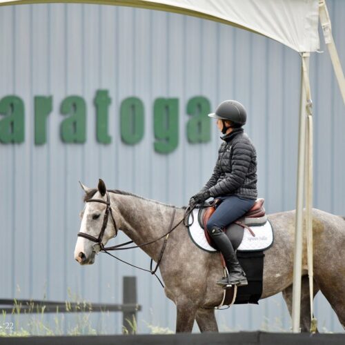 Saratoga Springs Horse Show 4