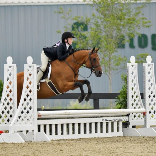 Saratoga Springs Horse Show 9