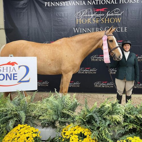 Pennsylvania National Horse Show 2-min