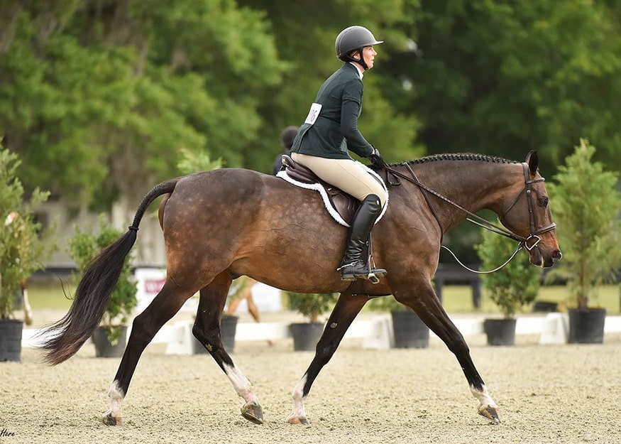 Ocala Spring Classic 5-min